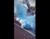 Black car blue smoke gender reveal party 