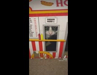 Girl tries to order hotdog cat house toy 