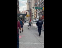 Rizzbot run test on the street