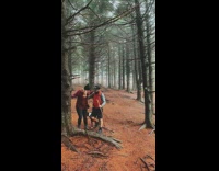 Hiker couple hug camera falls down trees