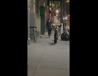 Guy Kills Rats on Sidewalk with Wooden Stick 