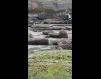 Man carries woman in blue dress on the beach rocks