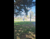 Collab BitchMP - Grandma on motorcycle rides off cant stop 