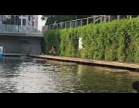 Woman in dress poses at the poolside