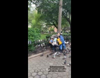 Woman carries multiple bags surrounded by pigeons