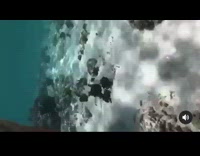 Man selfie dives back and hits its head