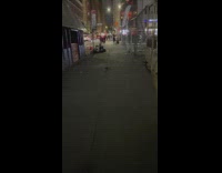 Rats crawl across sidewalk to trash bags 