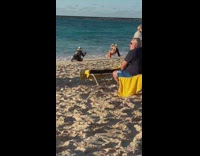 Woman bikini hold hat bend over beach 