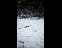Man lays down on foam on shore
