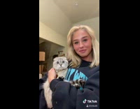 Girl holds and swings long grey cat 
