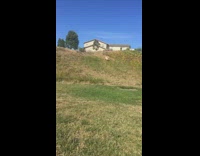 Pug dog runs down hill tumbles fail 