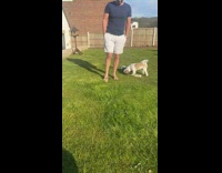 Guy kicks lemon at phone