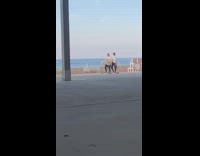 Two guys pose with white surfboards skateboards