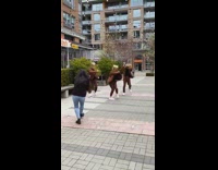 Dancers Film Video Next to Outdoor Restaurant 
