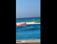 Man fails to sit on pool floatie