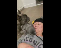 Collab BitchIG2 - Dog and puppy distract girl laying back 