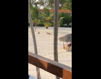 Woman bikini lay on sand with cameraman