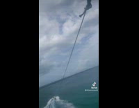 Group of friends paraglides then crashes down