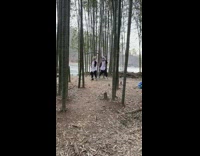 Three women panda costume tiktok dance trees