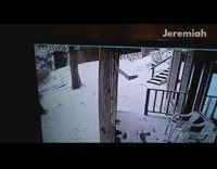 Collab DailyDoseOfInternet - Guy sees tree fall down in backyard 