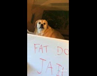 Collab Clips mpugc - Fat dog jail