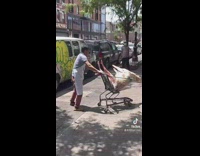 Restaurant employees use shopping cart to transport goat meat 