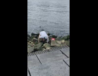 Guy looks under rock by river