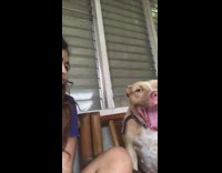 Dog finishes yawning before barking back at owner 