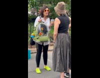 Collab winy - Ladies catch up while holding bird carrier