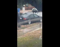 Black car blocking driveway gets towed 