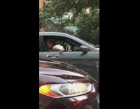 Girl holds white duck grey car window 