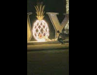 Woman inside pineapple with Christmas light at the park