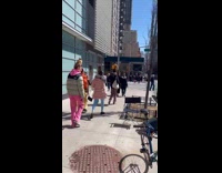 girls with tall hair in ponytails