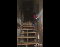 Collab BitchMP - Dog stairs turn around basement