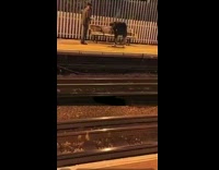 2 guys play paper flip game at train station 