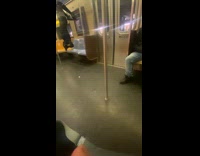 Woman hangs upside down on the train 