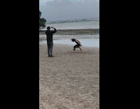 Woman black dress covered face dance beach
