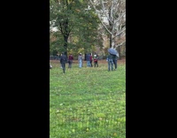 People in park dressed in medieval armor and guy getting hit by axe