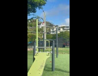 Shirtless man fails backflip second time playground