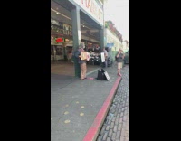 Cat furry performs with accordion 