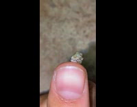Booger on finger 