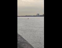 Random person paddles board in the river