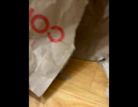 Tabby kitten rip apart paper grocery bags