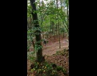 Collab SendItOfficiall - Boy rides bicycle jumps on wood stunt