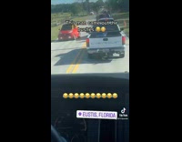 Collab BitchMP - Little tikes smart car drives onto road from bush