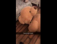 This is not okay guy in teddy bear