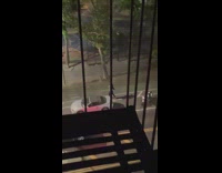 Guy Yells and Crosses Street in a Circle 