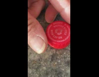 Bee trapped under the bottle cap and escaped