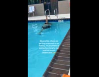 Man holds breath underwater filmer times it