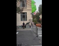 Dog stands tries to sniff ghostbusters statue